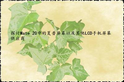 探讨Mate 20中的夏普屏幕以及其他LCD手机屏幕供应商